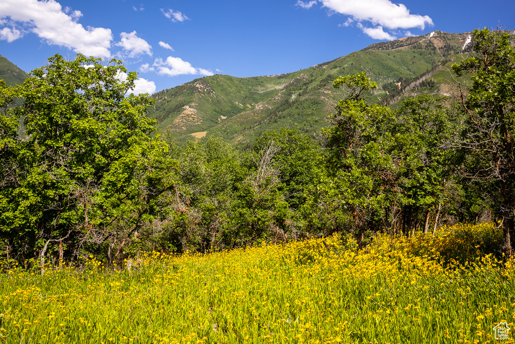 View of mountain backdrop