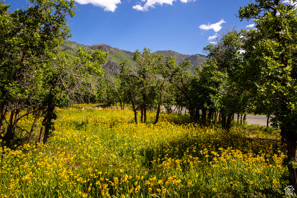View of mountain background