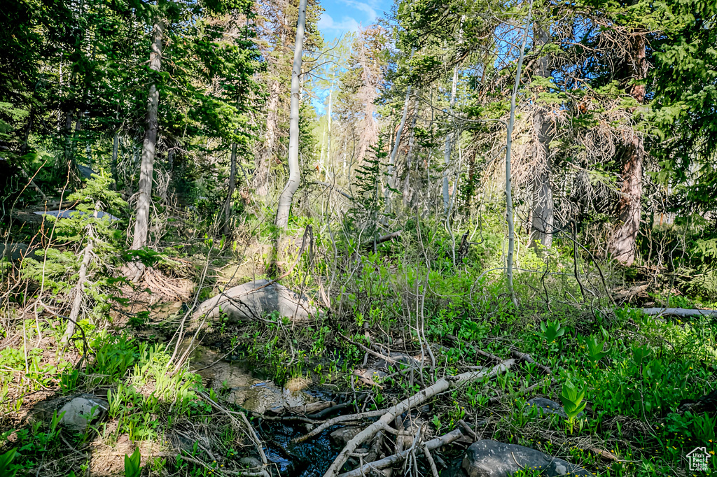 View of undeveloped land