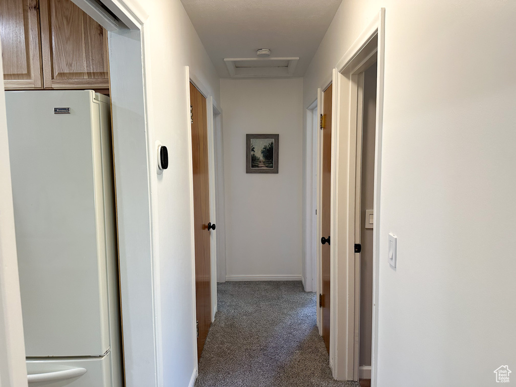 Hallway featuring carpet flooring and attic access