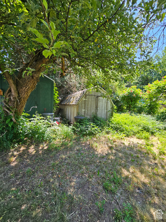 View of yard featuring a storage unit