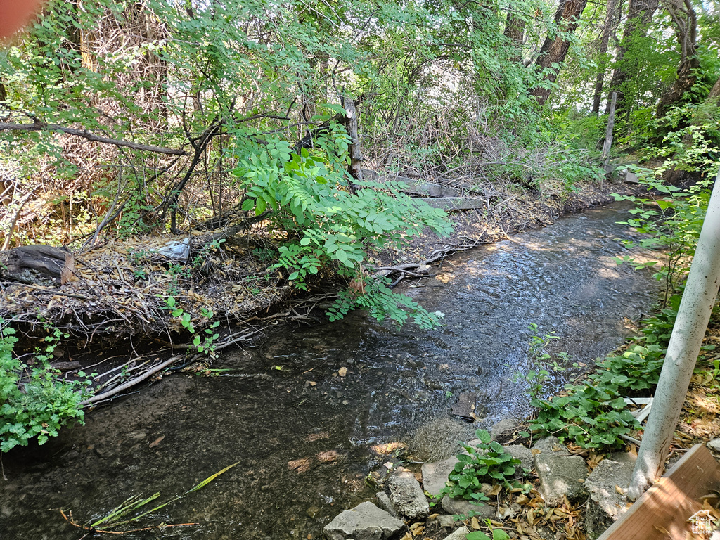 View of undeveloped land