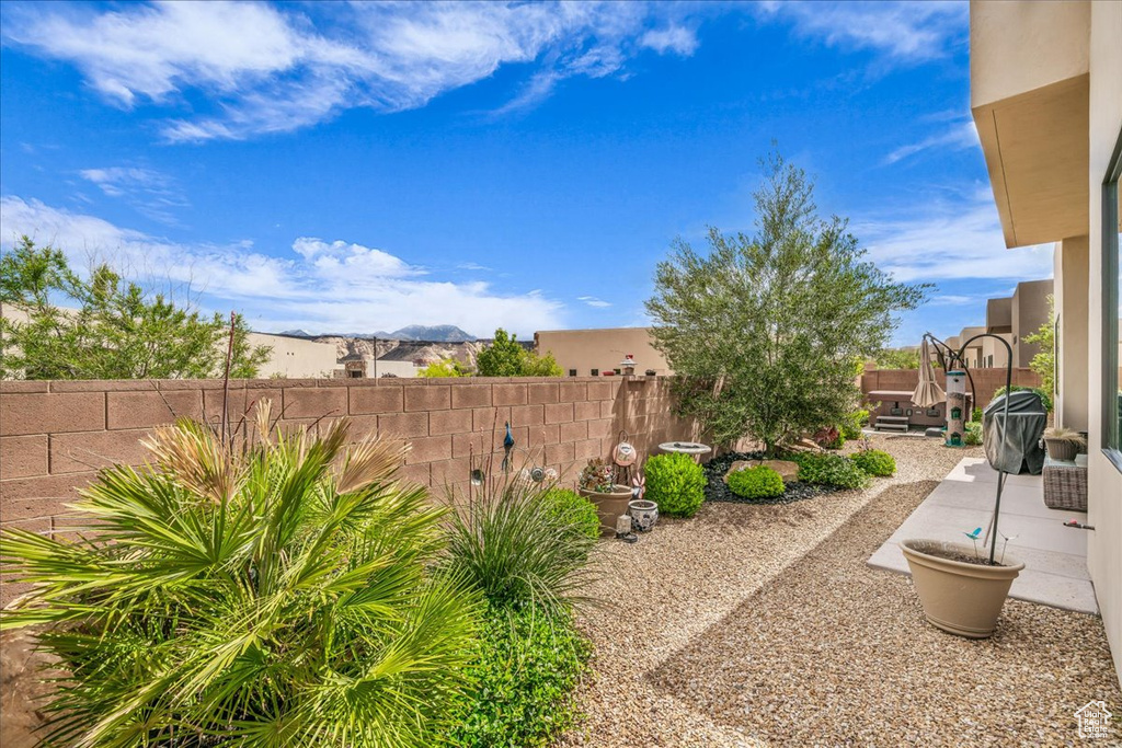 View of yard featuring a patio