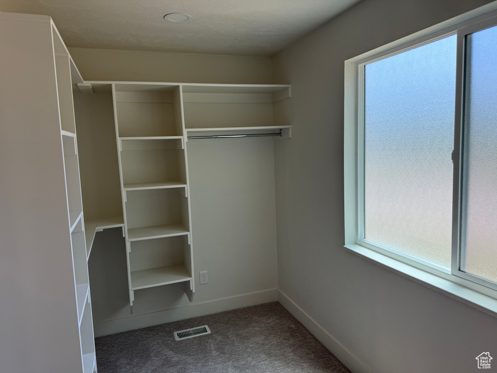 Walk in closet featuring carpet floors