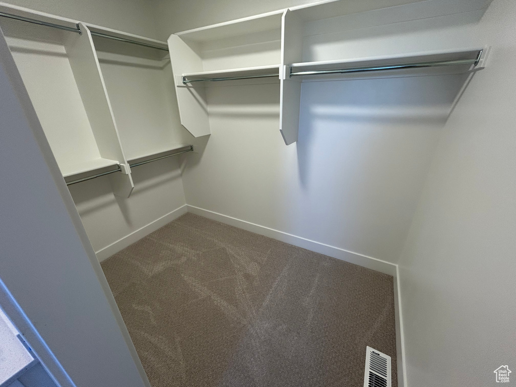 Spacious closet with carpet floors