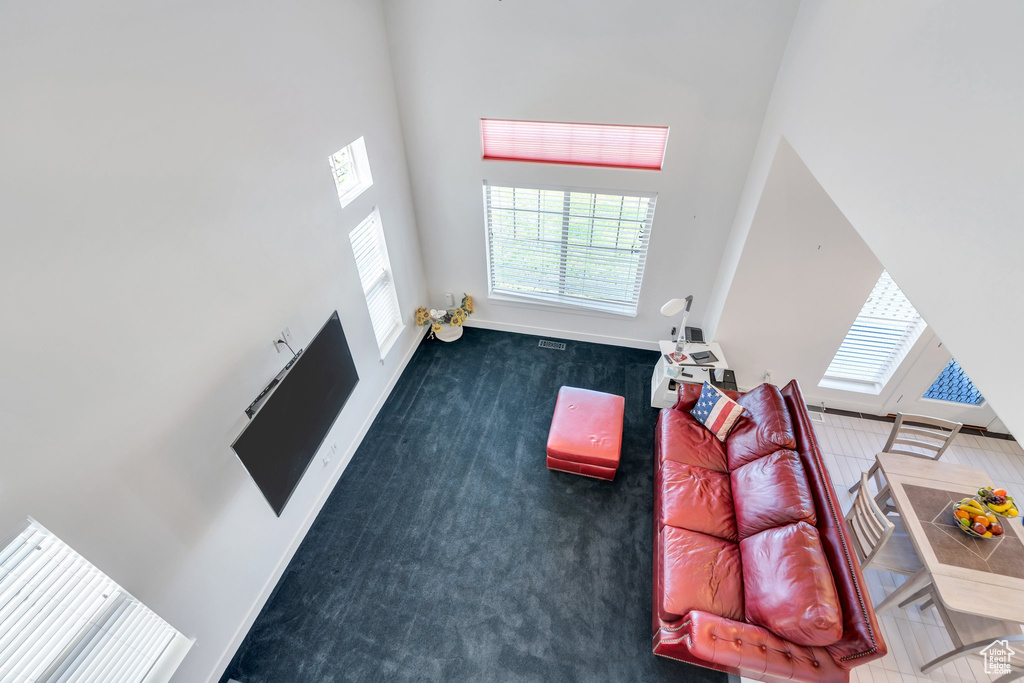 Carpeted living room with a towering ceiling