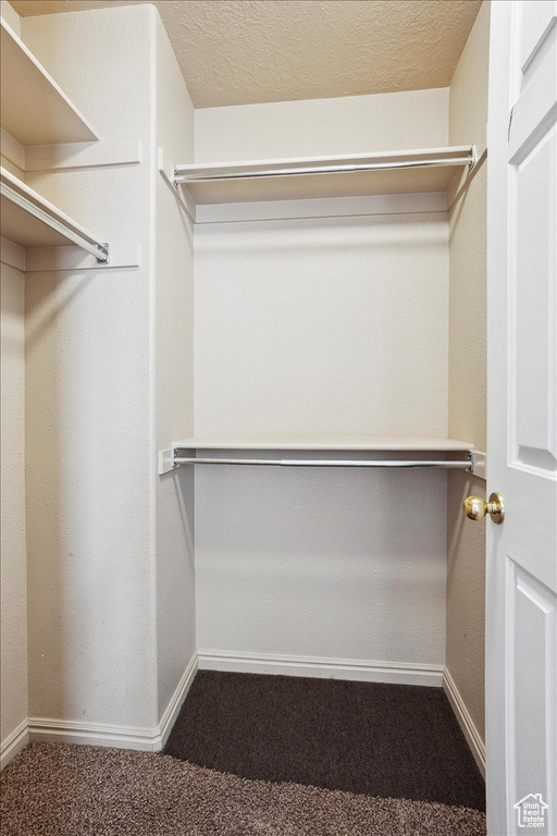 Spacious closet with carpet