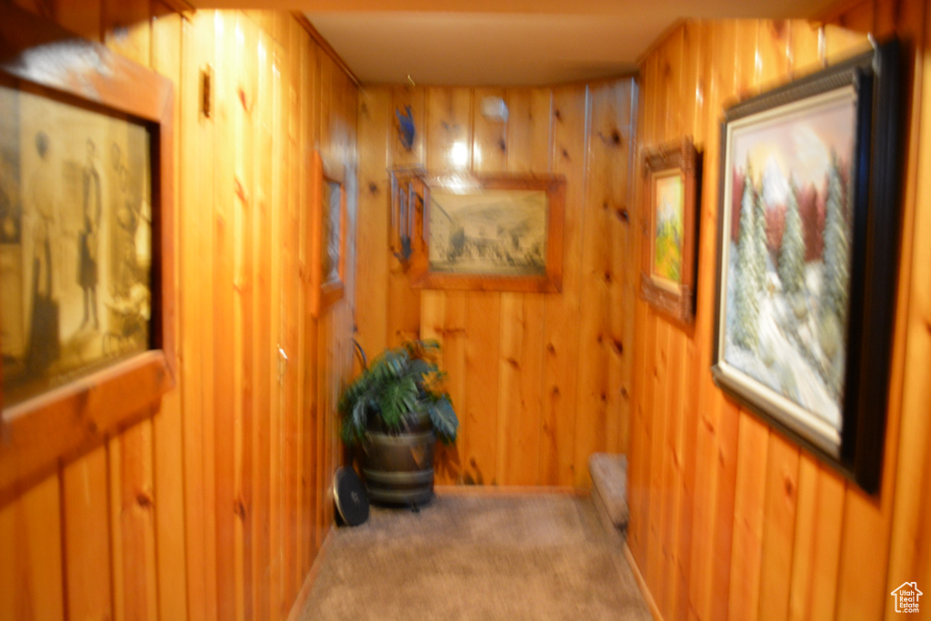 Hall featuring wood walls and carpet