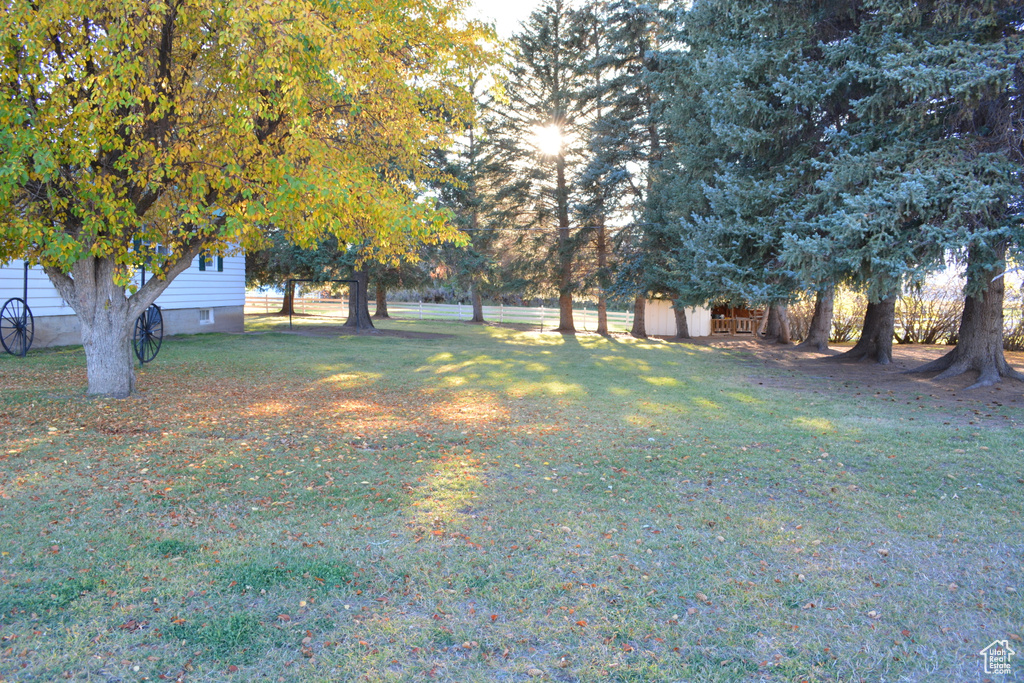 View of green lawn with a shed