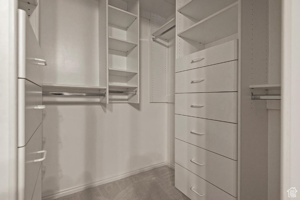 Walk in closet with carpet floors
