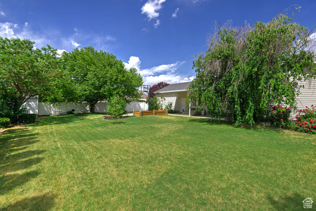 View of fenced backyard