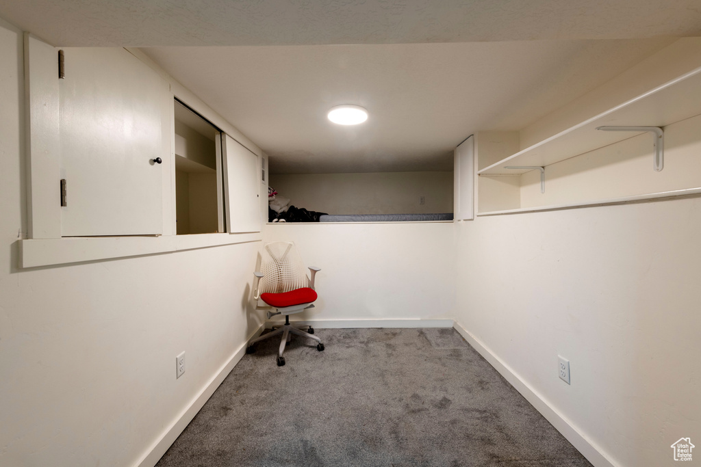Spacious closet with carpet