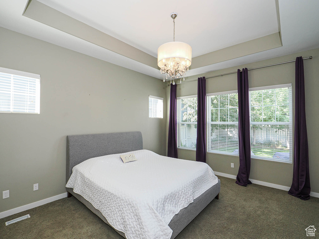 Bedroom featuring a raised ceiling, multiple windows, and carpet