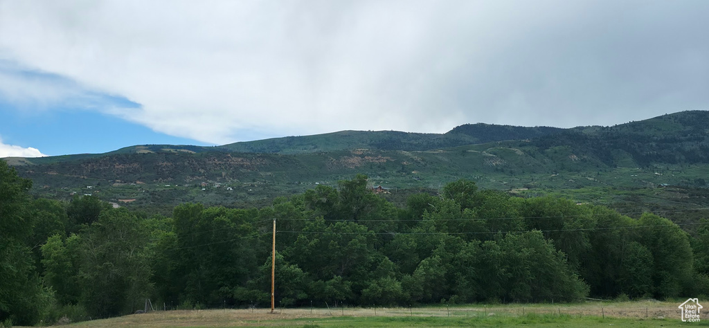 View of mountain backdrop with a forest