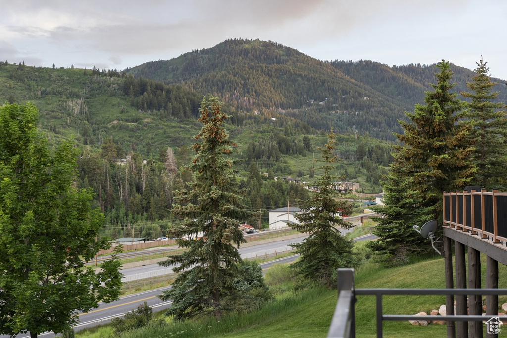 Mountain view with a forest