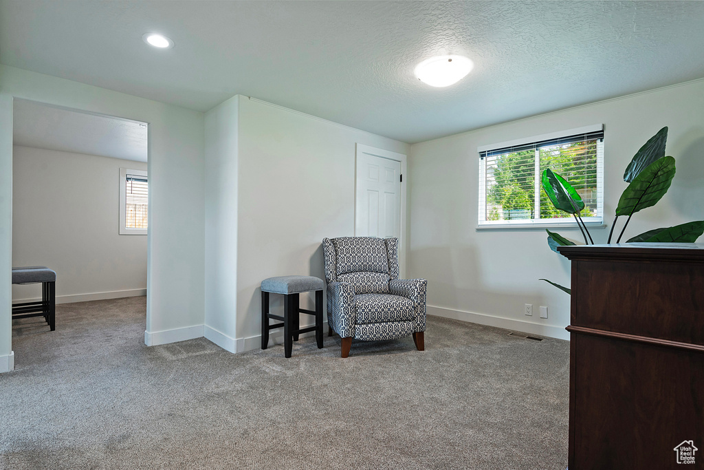 Living area featuring plenty of natural light, carpet, and a textured ceiling