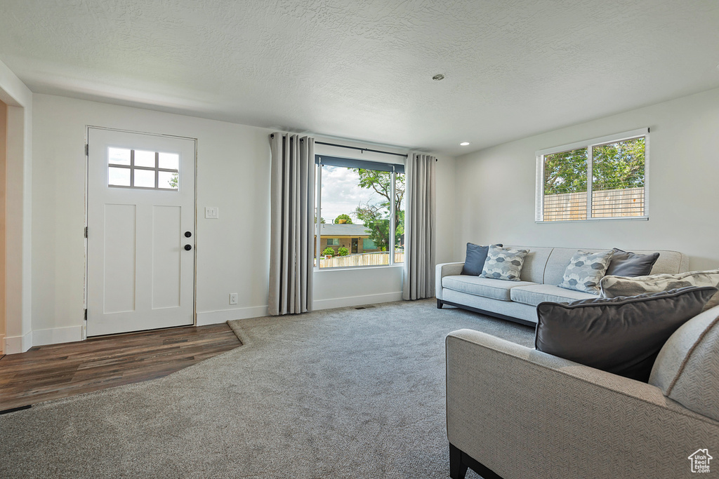Living room with plenty of natural light, carpet, and a textured ceiling