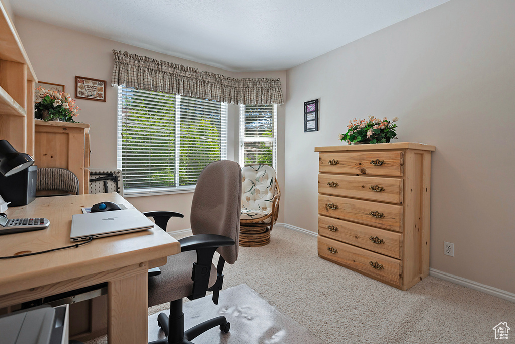 Office featuring carpet flooring and baseboards