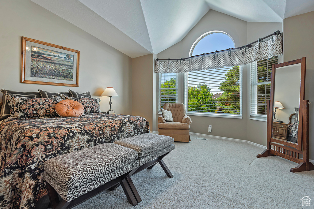 Carpeted bedroom featuring lofted ceiling and baseboards