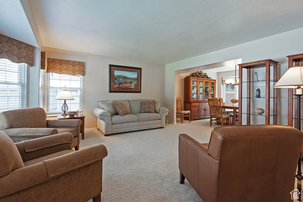 Living area with carpet floors