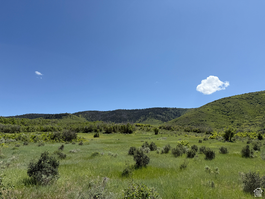 Mountain view featuring rural landscape