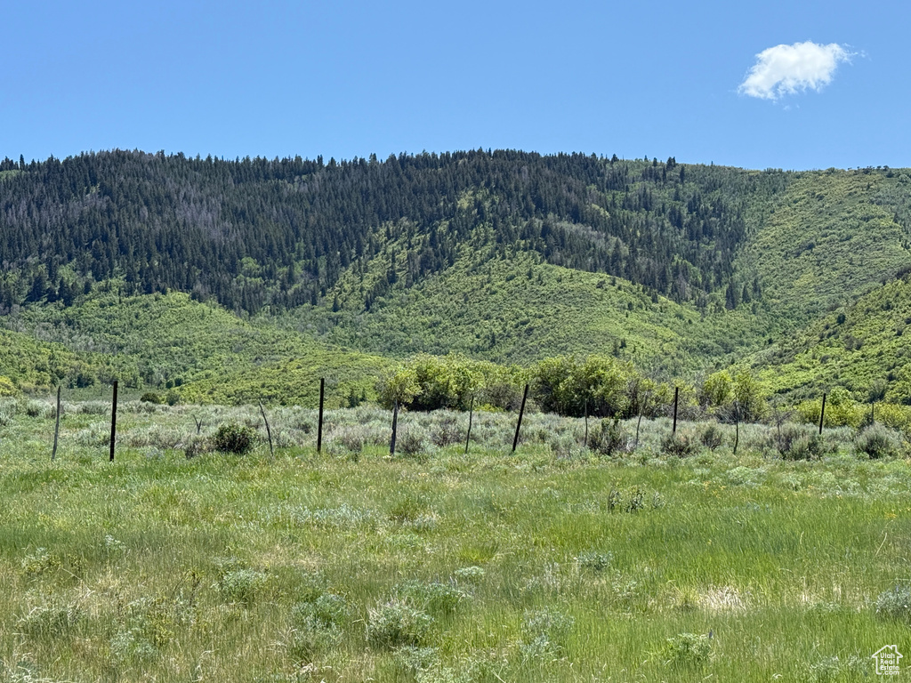 Mountain view with a heavily wooded area