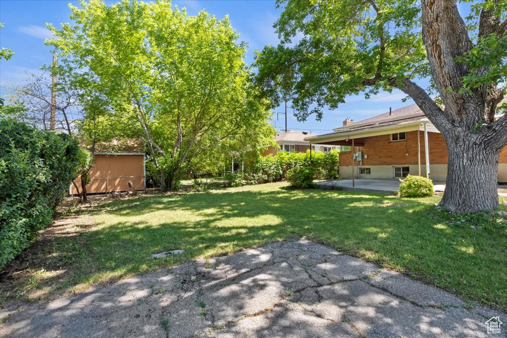 View of green lawn featuring a patio and a storage unit