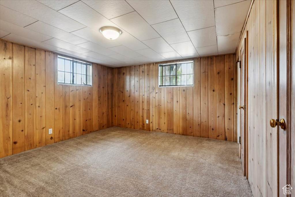 Basement with carpet floors and wood walls