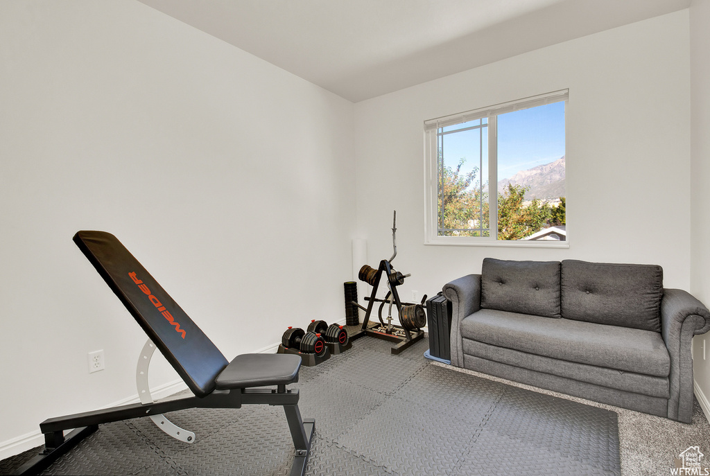 Exercise room with carpet and baseboards