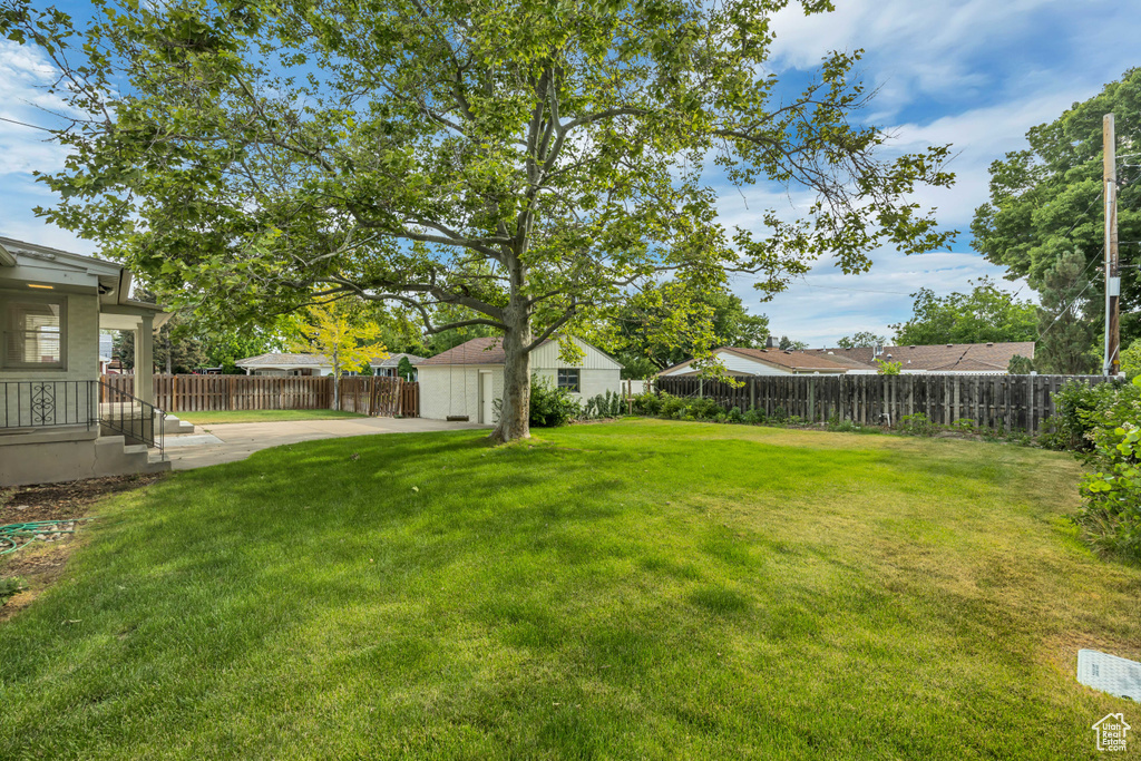 View of fenced yard