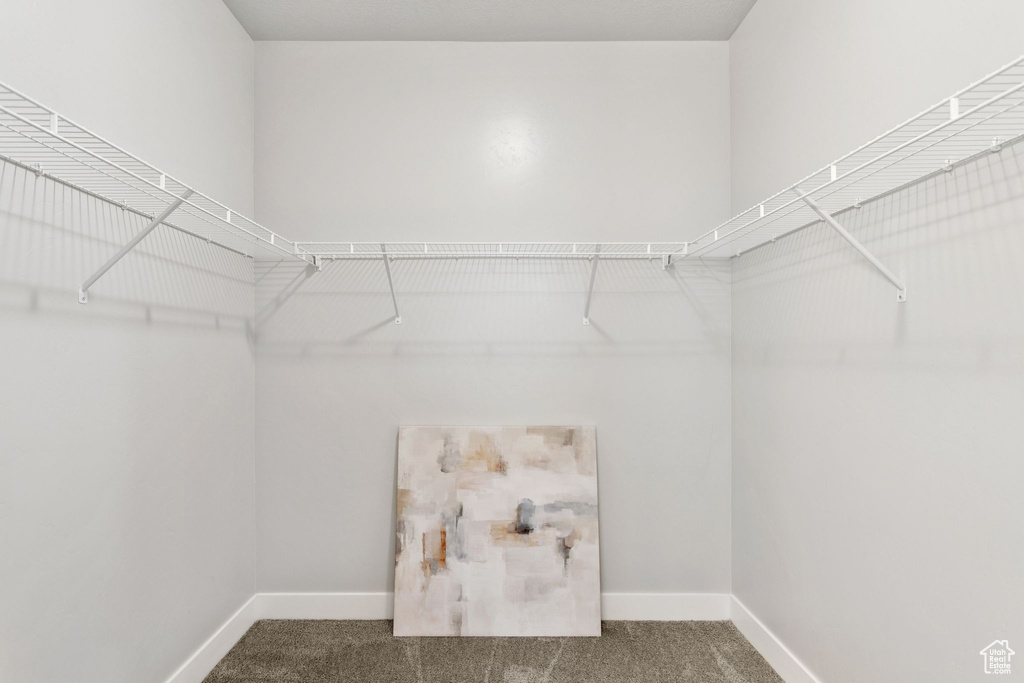 Spacious closet with carpet flooring