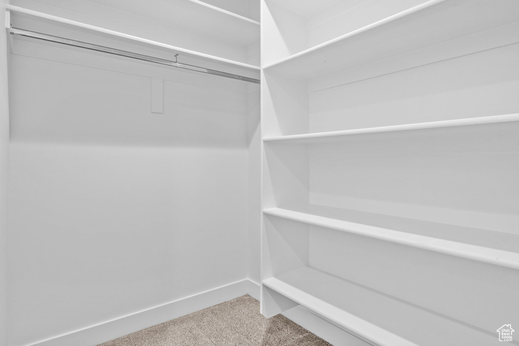 Spacious closet featuring carpet flooring