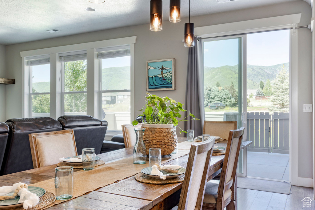 Dining room featuring light wood-type flooring and a mountain view