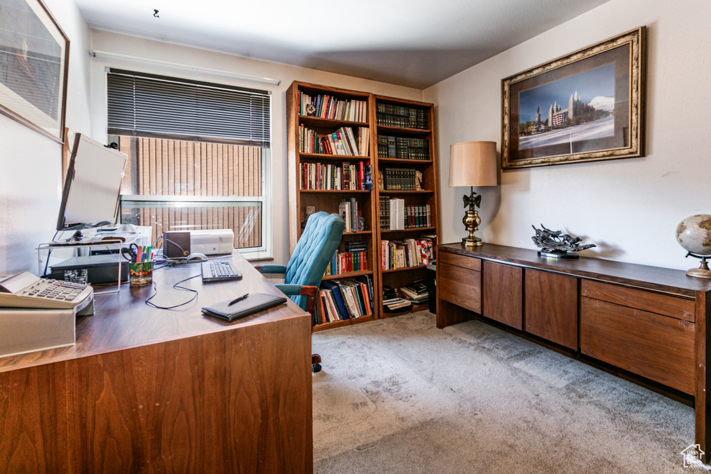 Home office with carpet flooring