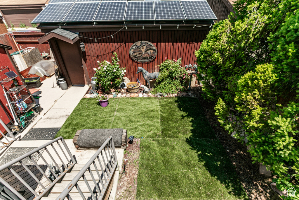 View of green lawn