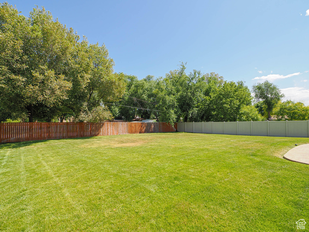 View of yard