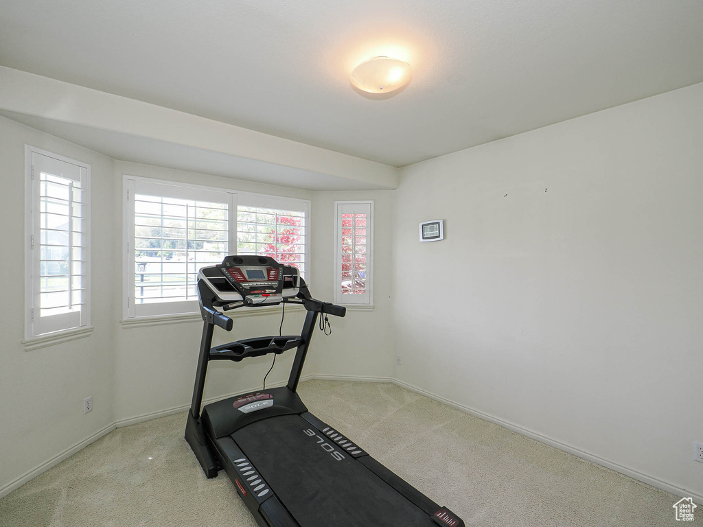 Exercise area featuring carpet floors