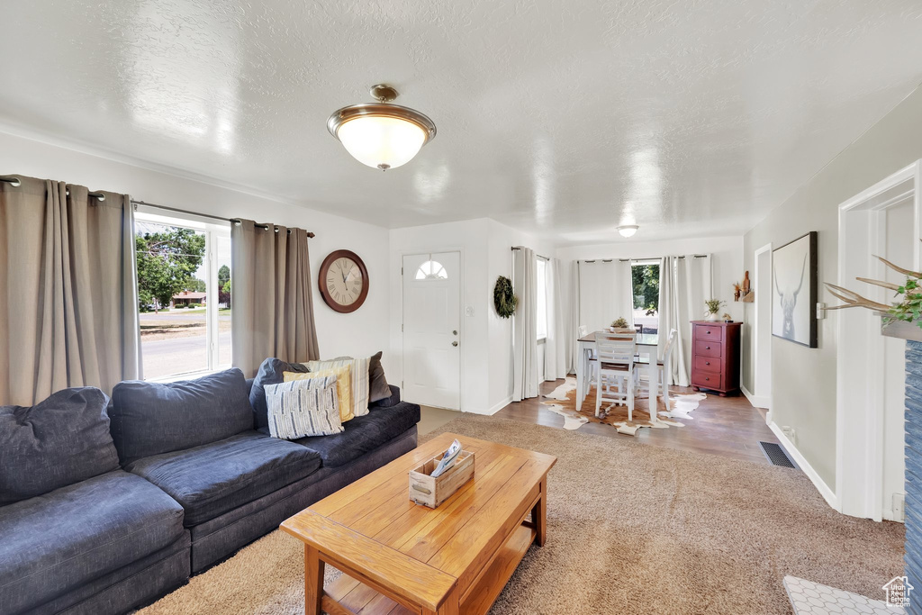 Carpeted living room with healthy amount of natural light and a textured ceiling