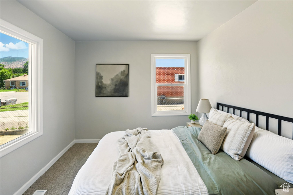 Bedroom with carpet and multiple windows