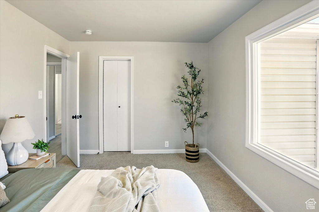 Carpeted bedroom featuring baseboards and a closet