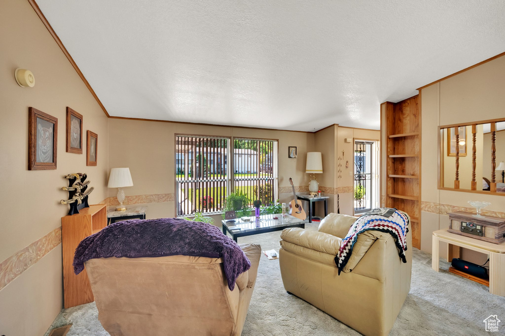Carpeted living room featuring crown molding