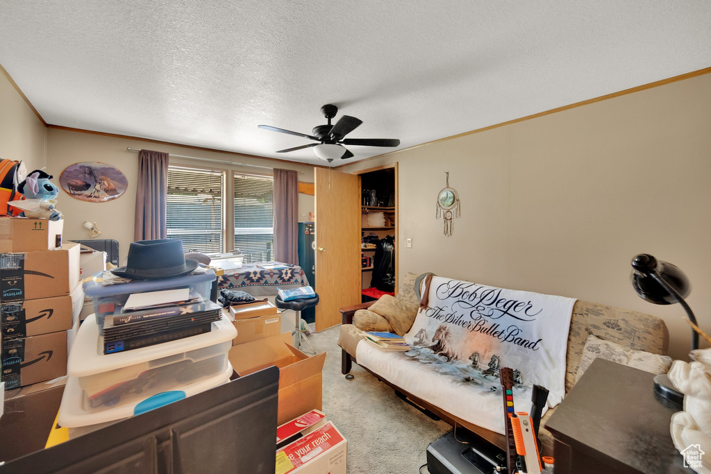 Carpeted office featuring a ceiling fan, a textured ceiling, and ornamental molding