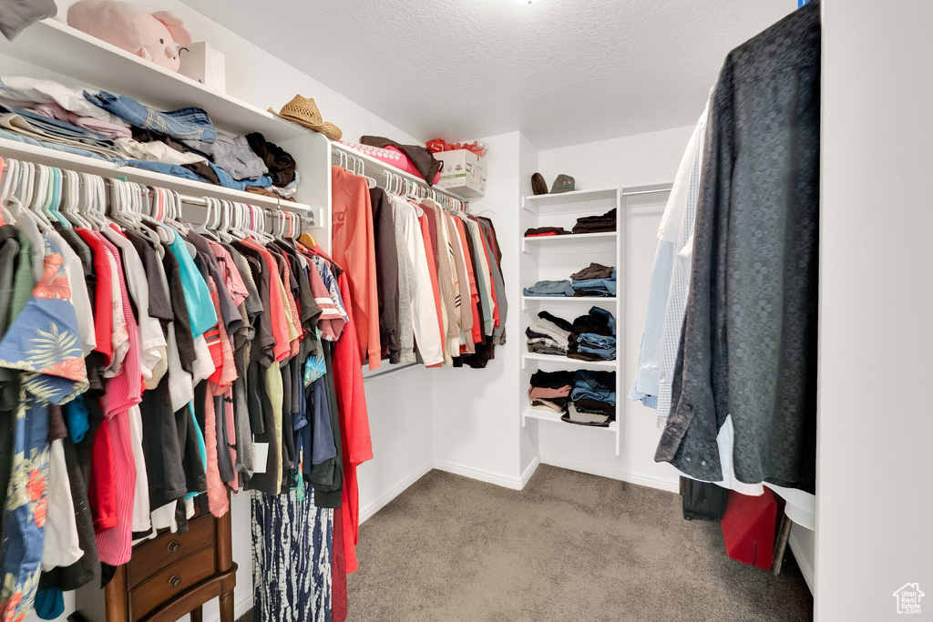 Spacious closet with carpet