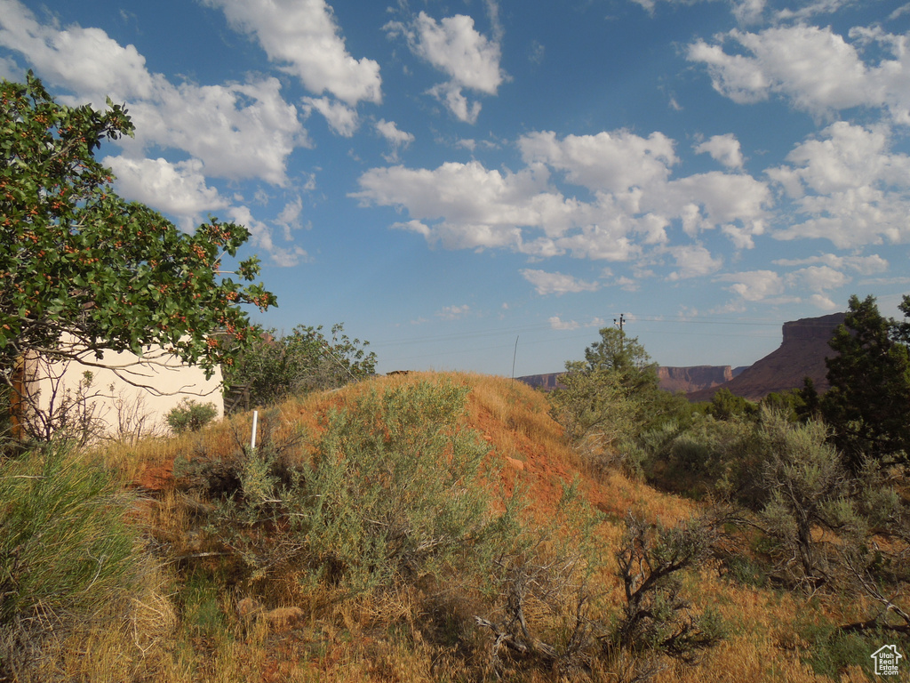 View of mountain background