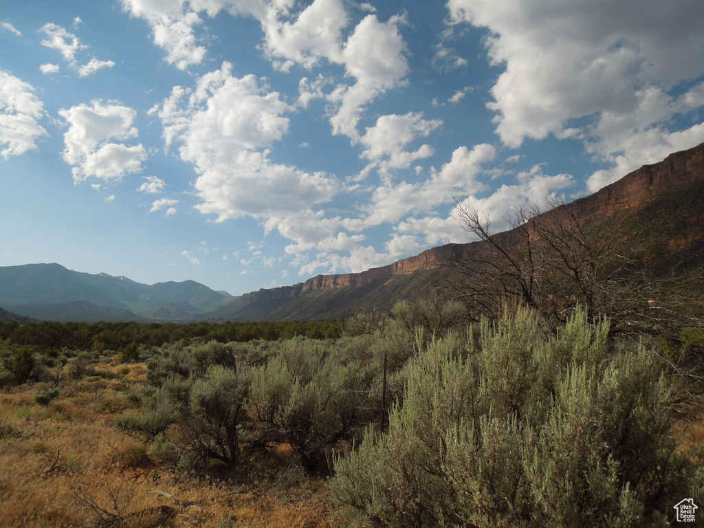 Mountain view