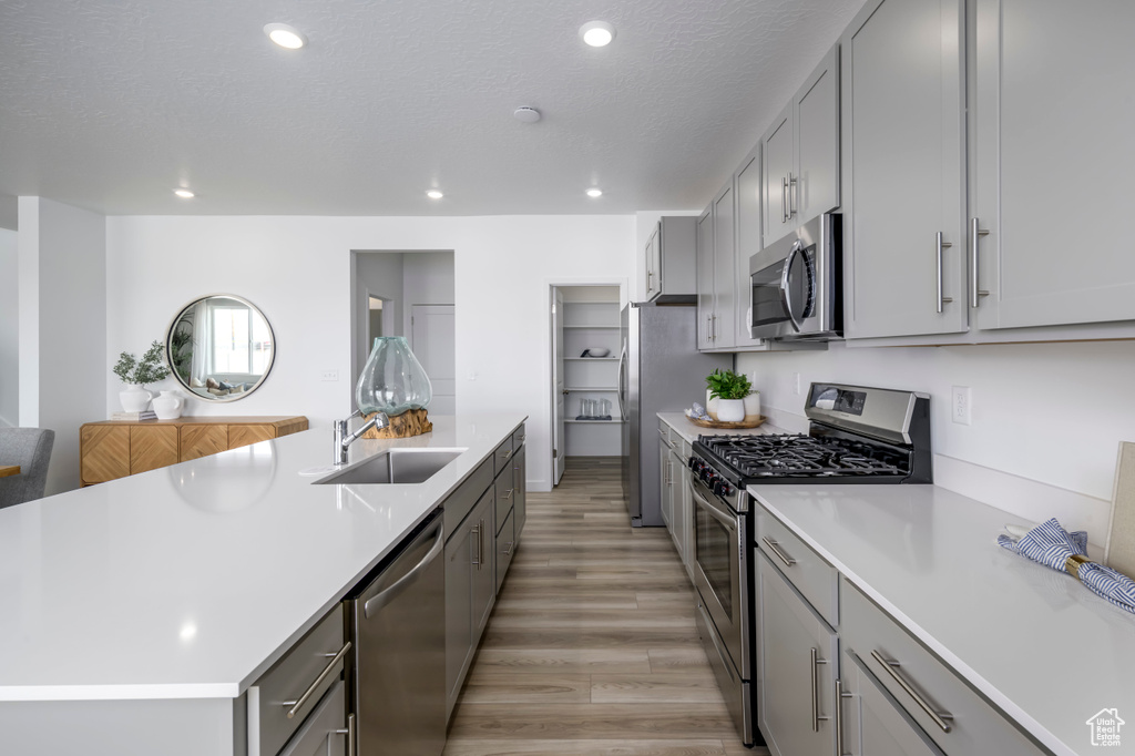 Kitchen with stainless steel appliances, gray cabinetry, light countertops, light wood finished floors, and recessed lighting