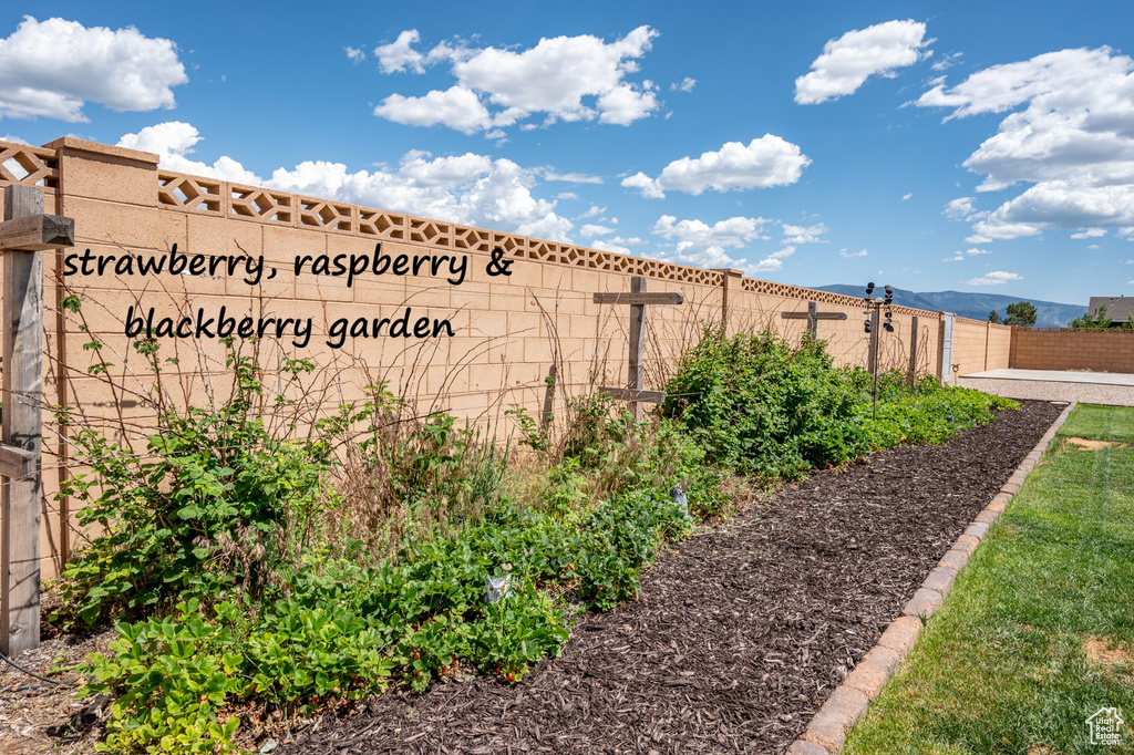 Fenced backyard featuring a vegetable garden