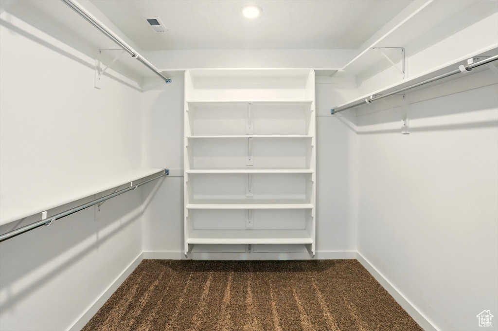 Spacious closet featuring dark carpet