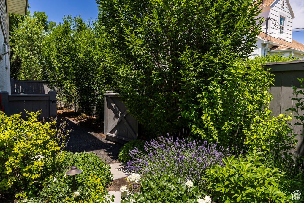 View of yard featuring a shed