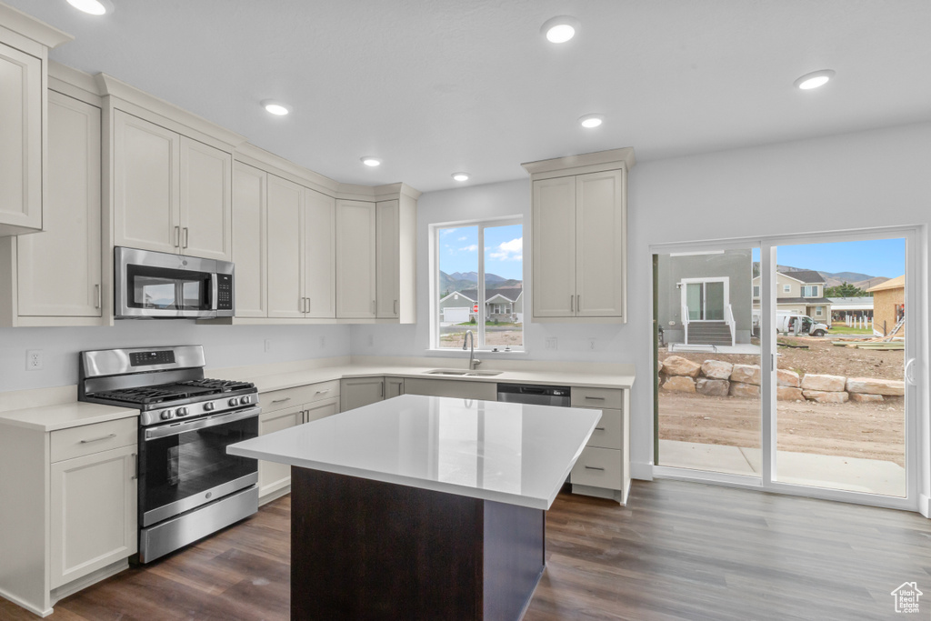 Kitchen with stainless steel appliances, light countertops, dark wood-style flooring, recessed lighting, and a center island